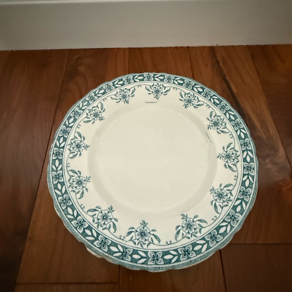 Supreme White and Teal Dinner Plate